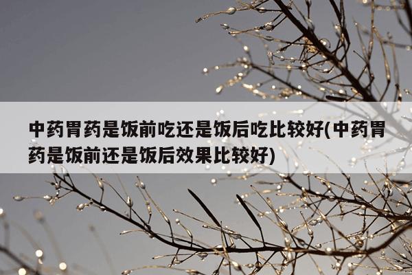 中药胃药是饭前吃还是饭后吃比较好(中药胃药是饭前还是饭后效果比较好)