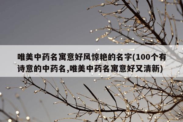 唯美中药名寓意好风惊艳的名字(100个有诗意的中药名,唯美中药名寓意好又清新)