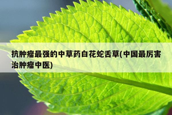 抗肿瘤最强的中草药白花蛇舌草(中国最厉害治肿瘤中医)