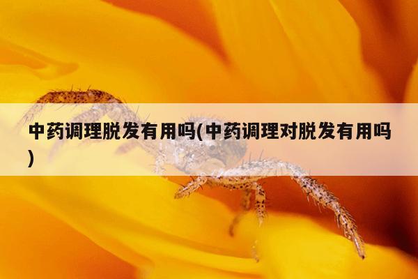 中药调理脱发有用吗(中药调理对脱发有用吗)