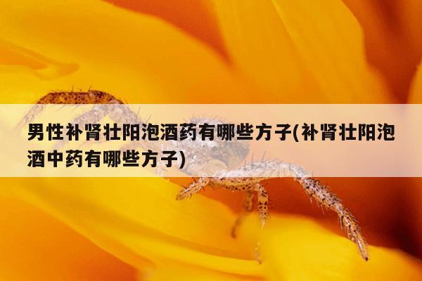 男性补肾壮阳泡酒药有哪些方子(补肾壮阳泡酒中药有哪些方子)