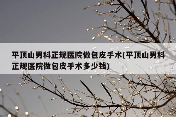 平顶山男科正规医院做包皮手术(平顶山男科正规医院做包皮手术多少钱)