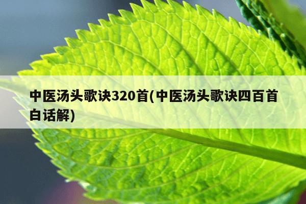 中医汤头歌诀320首(中医汤头歌诀四百首白话解)