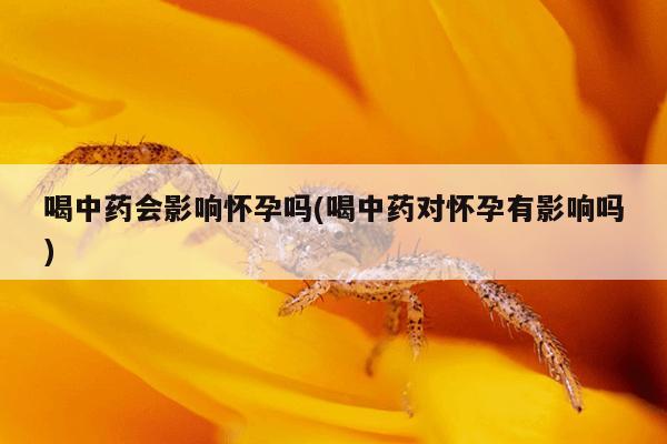 喝中药会影响怀孕吗(喝中药对怀孕有影响吗)