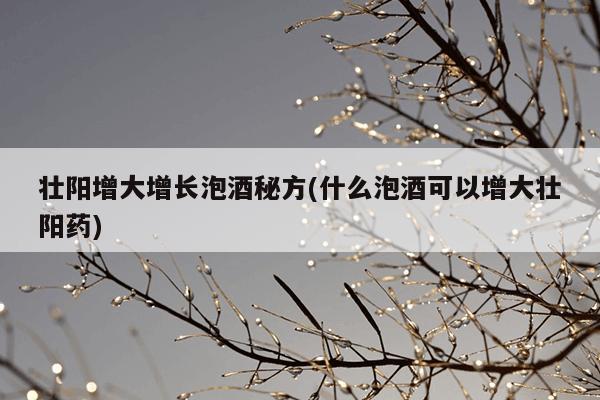 壮阳增大增长泡酒秘方(什么泡酒可以增大壮阳药)