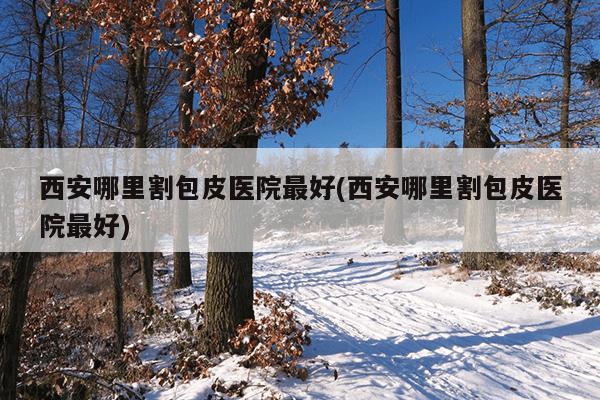 西安哪里割包皮医院最好(西安哪里割包皮医院最好)