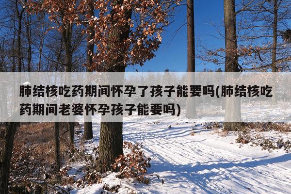 肺结核吃药期间怀孕了孩子能要吗(肺结核吃药期间老婆怀孕孩子能要吗)
