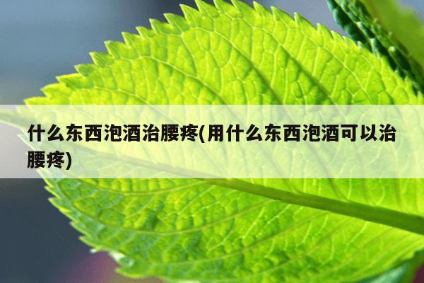 什么东西泡酒治腰疼(用什么东西泡酒可以治腰疼)