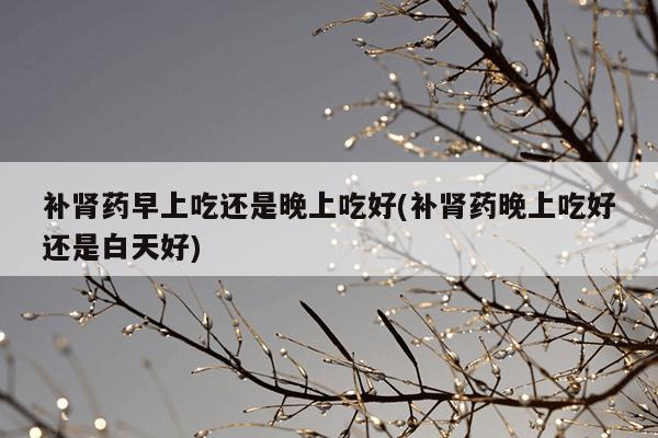 补肾药早上吃还是晚上吃好(补肾药晚上吃好还是白天好)