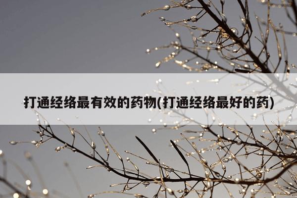 打通经络最有效的药物(打通经络最好的药)