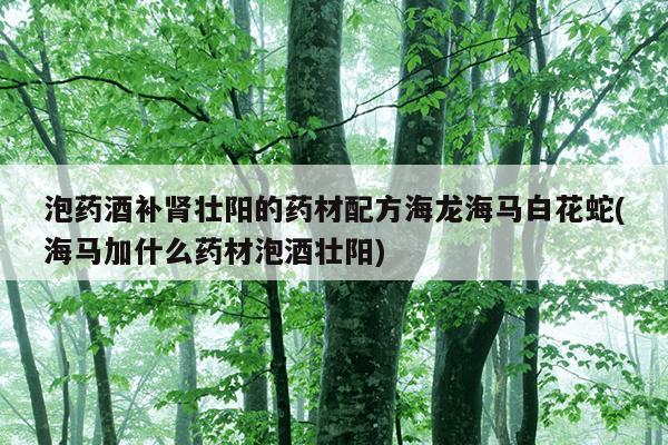 泡药酒补肾壮阳的药材配方海龙海马白花蛇(海马加什么药材泡酒壮阳)