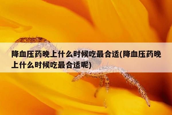 降血压药晚上什么时候吃最合适(降血压药晚上什么时候吃最合适呢)