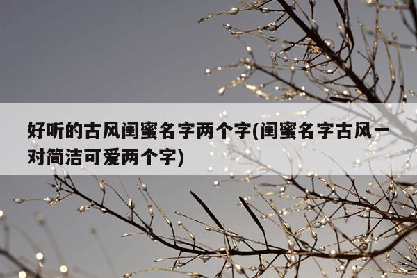 好听的古风闺蜜名字两个字(闺蜜名字古风一对简洁可爱两个字)