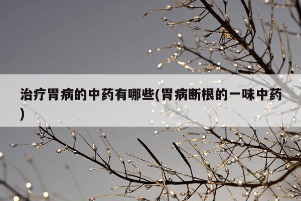 治疗胃病的中药有哪些(胃病断根的一味中药)