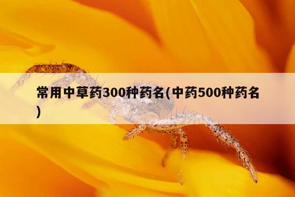 常用中草药300种药名(中药500种药名)