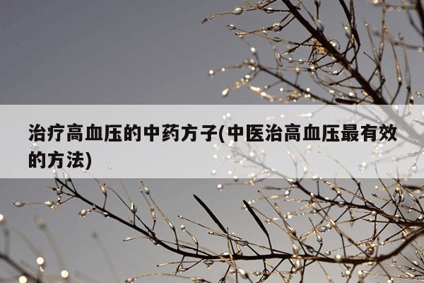 治疗高血压的中药方子(中医治高血压最有效的方法)
