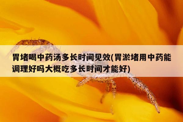 胃堵喝中药汤多长时间见效(胃淤堵用中药能调理好吗大概吃多长时间才能好)