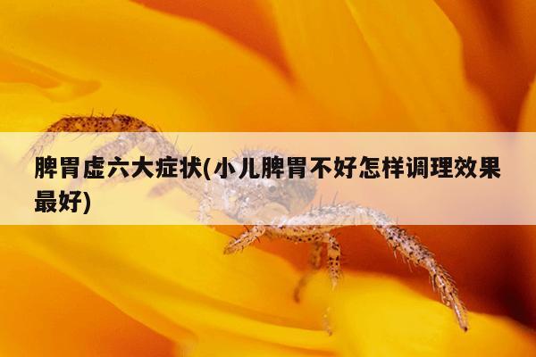 脾胃虚六大症状(小儿脾胃不好怎样调理效果最好)