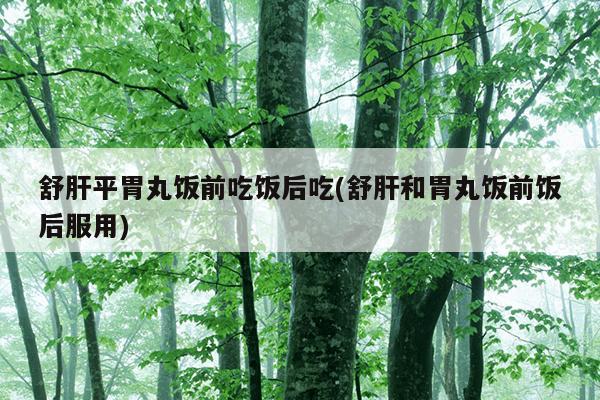 舒肝平胃丸饭前吃饭后吃(舒肝和胃丸饭前饭后服用)
