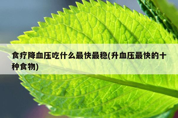 食疗降血压吃什么最快最稳(升血压最快的十种食物)