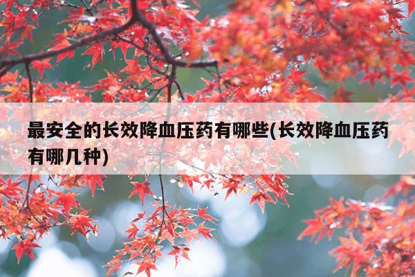 最安全的长效降血压药有哪些(长效降血压药有哪几种)