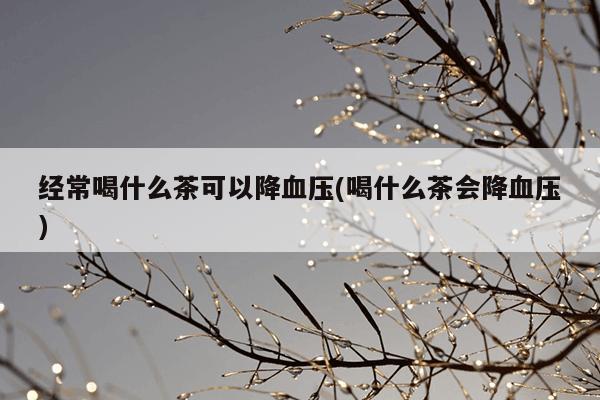 经常喝什么茶可以降血压(喝什么茶会降血压)