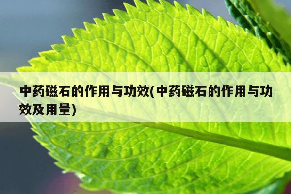 中药磁石的作用与功效(中药磁石的作用与功效及用量)