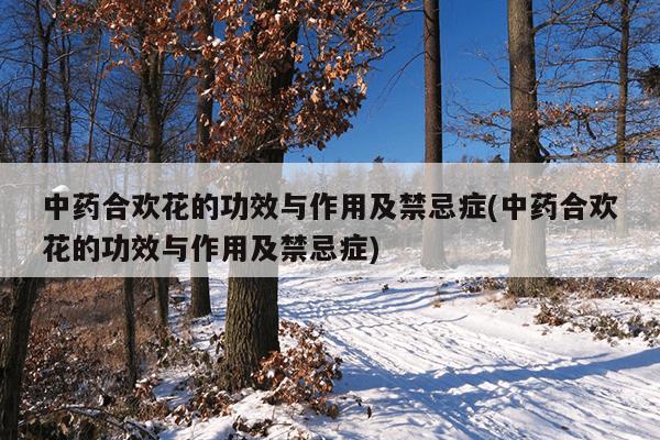 中药合欢花的功效与作用及禁忌症(中药合欢花的功效与作用及禁忌症)