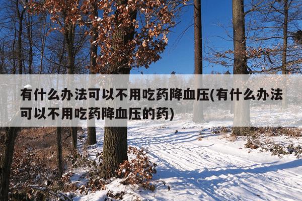 有什么办法可以不用吃药降血压(有什么办法可以不用吃药降血压的药)