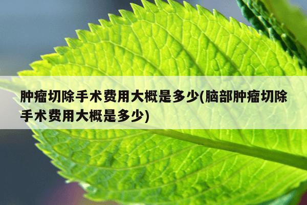 肿瘤切除手术费用大概是多少(脑部肿瘤切除手术费用大概是多少)