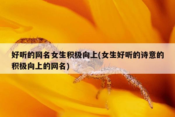 好听的网名女生积极向上(女生好听的诗意的积极向上的网名)