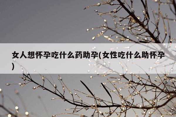 女人想怀孕吃什么药助孕(女性吃什么助怀孕)