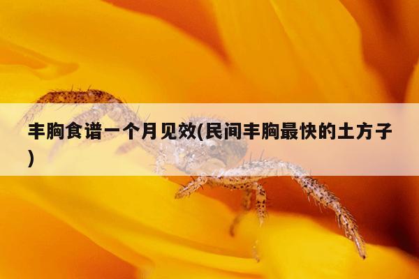 丰胸食谱一个月见效(民间丰胸最快的土方子)