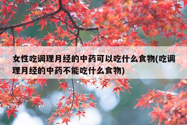 女性吃调理月经的中药可以吃什么食物(吃调理月经的中药不能吃什么食物)