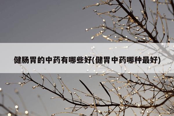 健肠胃的中药有哪些好(健胃中药哪种最好)