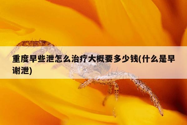 重度早些泄怎么治疗大概要多少钱(什么是早谢泄)