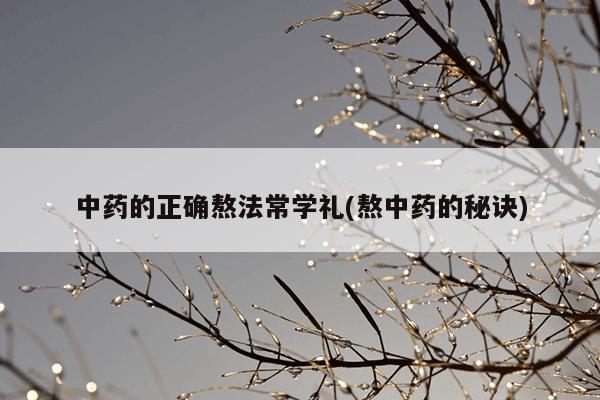 中药的正确熬法常学礼(熬中药的秘诀)