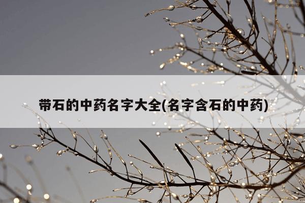 带石的中药名字大全(名字含石的中药)