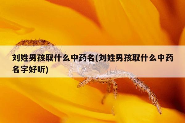刘姓男孩取什么中药名(刘姓男孩取什么中药名字好听)