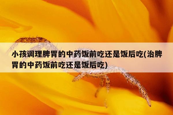 小孩调理脾胃的中药饭前吃还是饭后吃(治脾胃的中药饭前吃还是饭后吃)