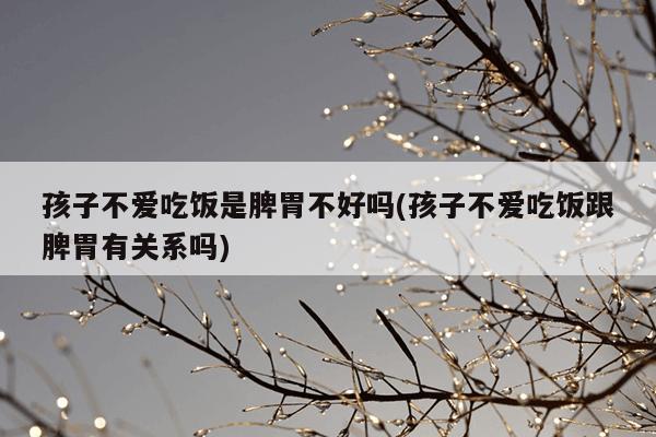 孩子不爱吃饭是脾胃不好吗(孩子不爱吃饭跟脾胃有关系吗)