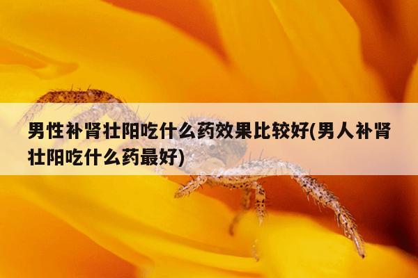 男性补肾壮阳吃什么药效果比较好(男人补肾壮阳吃什么药最好)