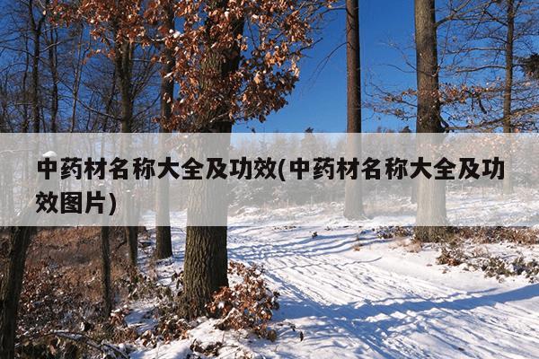 中药材名称大全及功效(中药材名称大全及功效图片)