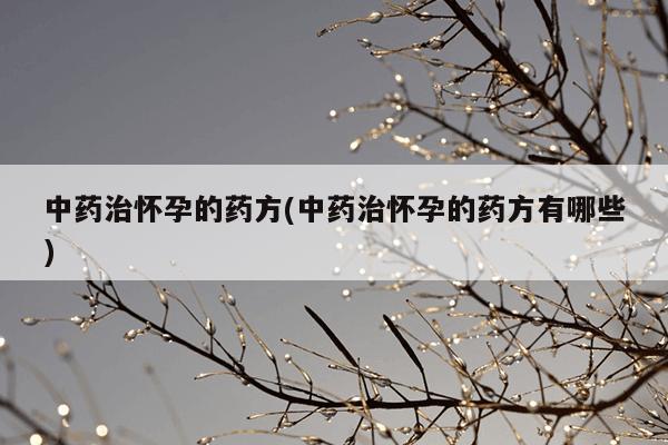 中药治怀孕的药方(中药治怀孕的药方有哪些)