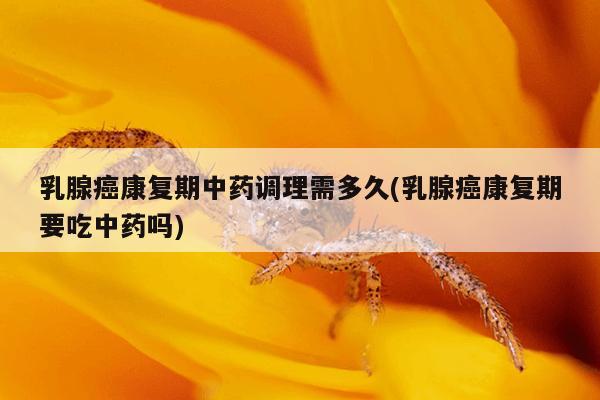 乳腺癌康复期中药调理需多久(乳腺癌康复期要吃中药吗)