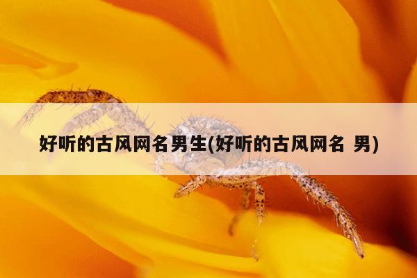 好听的古风网名男生(好听的古风网名 男)