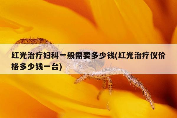 红光治疗妇科一般需要多少钱(红光治疗仪价格多少钱一台)