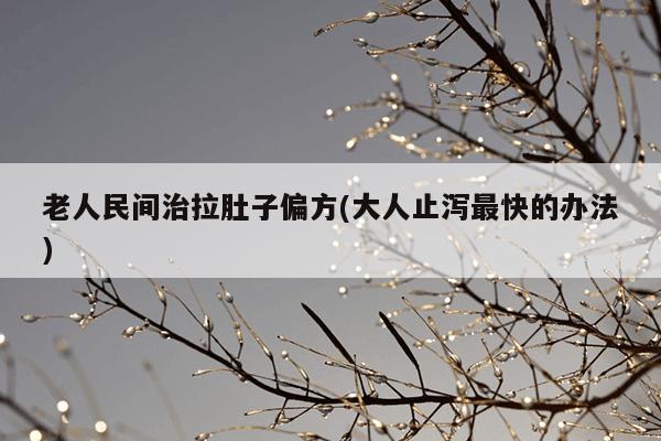 老人民间治拉肚子偏方(大人止泻最快的办法)