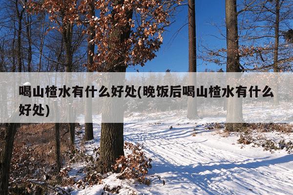 喝山楂水有什么好处(晚饭后喝山楂水有什么好处)