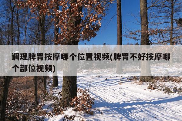 调理脾胃按摩哪个位置视频(脾胃不好按摩哪个部位视频)